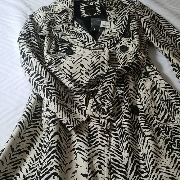 Spring Jacket - Picture 3 of 4